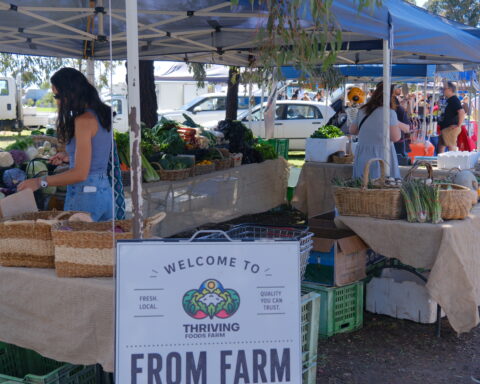slofo-wefo-farmers-market