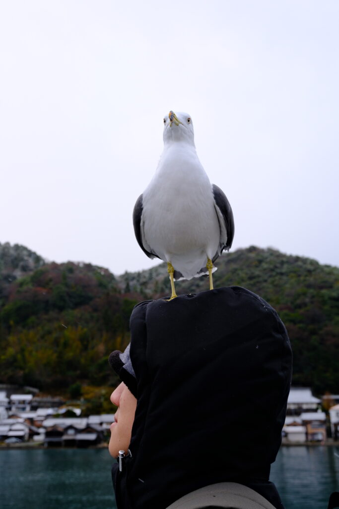 ine-funaya-kyoto-japan