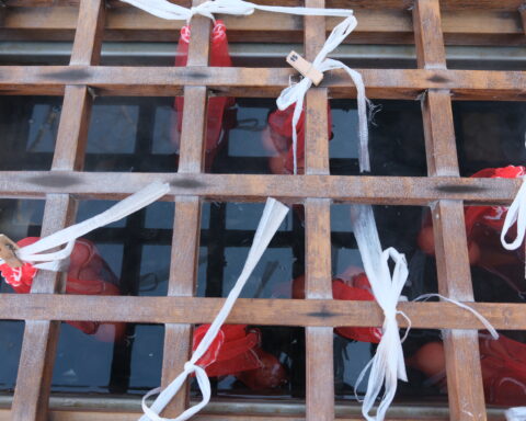 Kinosaki Onsen Tamago