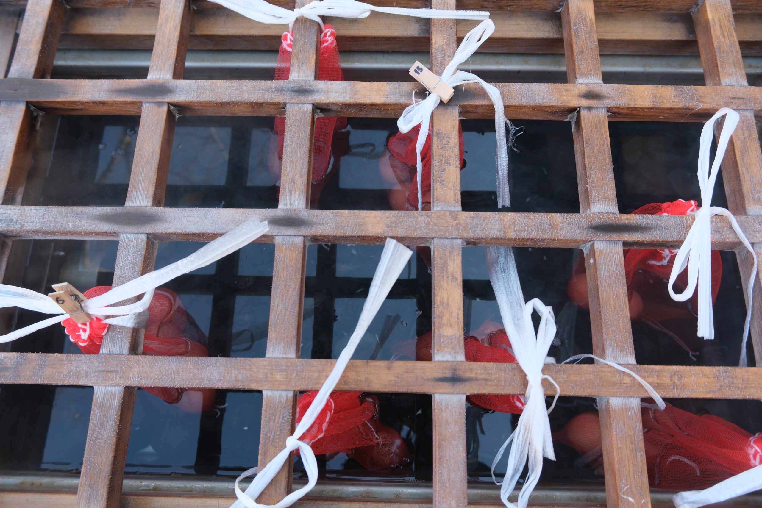 Kinosaki Onsen Tamago